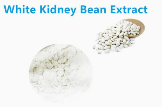 Extracto de frijoles blancos para mantener la salud y promover el crecimiento CAS NO 85085-22-9