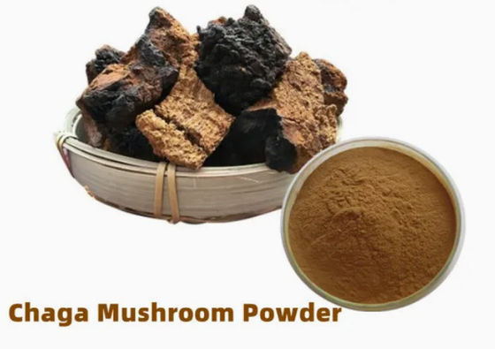 Polisacáridos naturales del 10% al 50% Extracto de Chaga Extracto en polvo CAS 84650-60-9