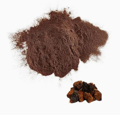 Polisacáridos naturales del 10% al 50% Extracto de Chaga Extracto en polvo CAS 84650-60-9