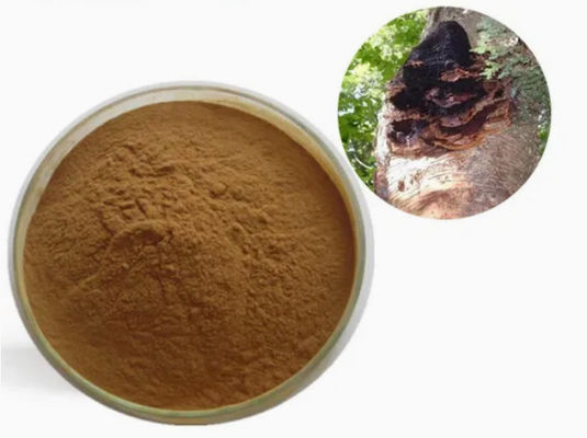 Polisacáridos naturales del 10% al 50% Extracto de Chaga Extracto en polvo CAS 84650-60-9