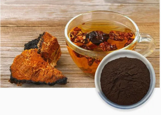Polisacáridos naturales del 10% al 50% Extracto de Chaga Extracto en polvo CAS 84650-60-9