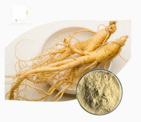 Extracto de ginseng orgánico natural de alto grado CAS NO 90045-38-8 Saponinas monoméricas de ginseng
