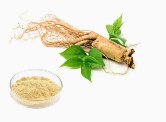 Extracto de ginseng orgánico natural de alto grado CAS NO 90045-38-8 Saponinas monoméricas de ginseng