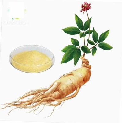 Extracto de ginseng orgánico natural de alto grado CAS NO 90045-38-8 Saponinas monoméricas de ginseng