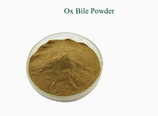 Intermediario farmacéutico Polvo de bilis de buey CAS 8008-63-7 Extracto de bilis de buey