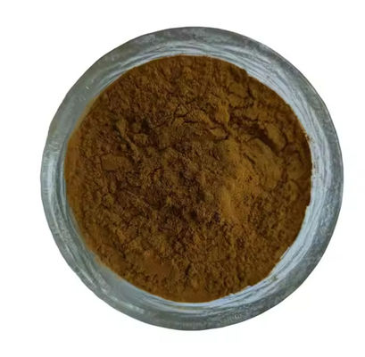 Extracto de medicina china Materia prima Extracto de angélica CAS NO 84775-41-7 Salud