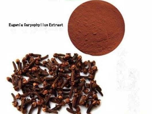 Extracto de Eugenia Caryophyllus CAS NO 84961-50-2 Productos de salud nutricional