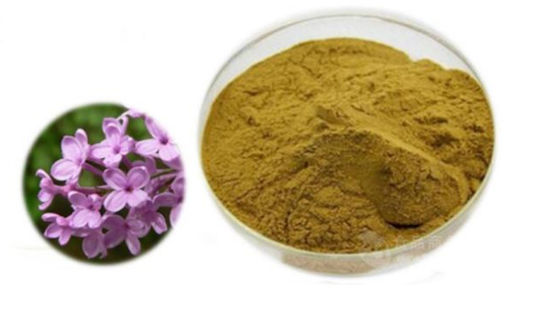 Extracto de Eugenia Caryophyllus CAS NO 84961-50-2 Productos de salud nutricional