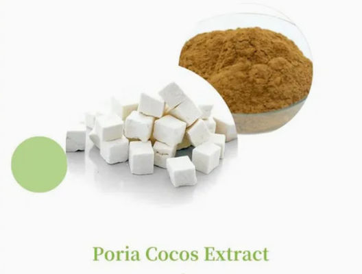 Extracto de planta de Herbway en polvo Extracto de coco de Poria CAS NO 65637-98-1 Polisacárido al 50%