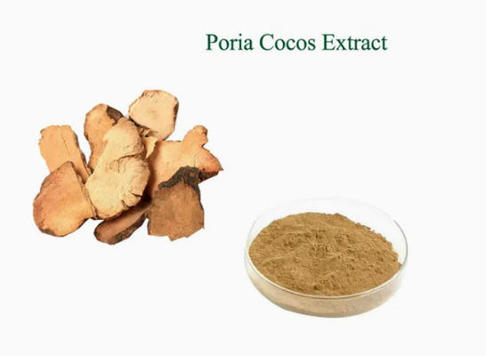 Extracto de planta de Herbway en polvo Extracto de coco de Poria CAS NO 65637-98-1 Polisacárido al 50%
