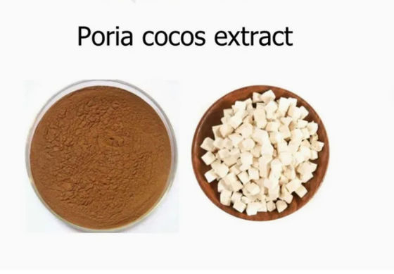 Extracto de planta de Herbway en polvo Extracto de coco de Poria CAS NO 65637-98-1 Polisacárido al 50%