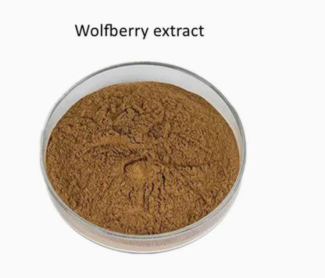 Extracto de baya de lobo natural y puro antioxidante CAS NO 11-40-5 Extracto de baya de goji