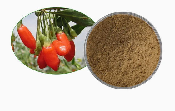 Extracto de baya de lobo natural y puro antioxidante CAS NO 11-40-5 Extracto de baya de goji
