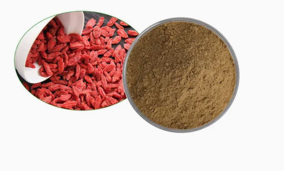 Extracto de baya de lobo natural y puro antioxidante CAS NO 11-40-5 Extracto de baya de goji