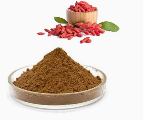 Extracto de baya de lobo natural y puro antioxidante CAS NO 11-40-5 Extracto de baya de goji