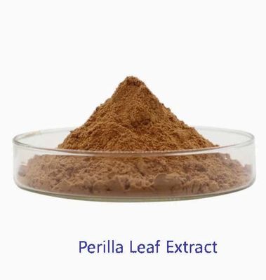 Extracto de hojas de perilla orgánica natural CAS NO 90082-61-4 Hierbas anuales en polvo
