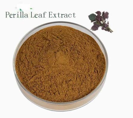 Extracto de hojas de perilla orgánica natural CAS NO 90082-61-4 Hierbas anuales en polvo