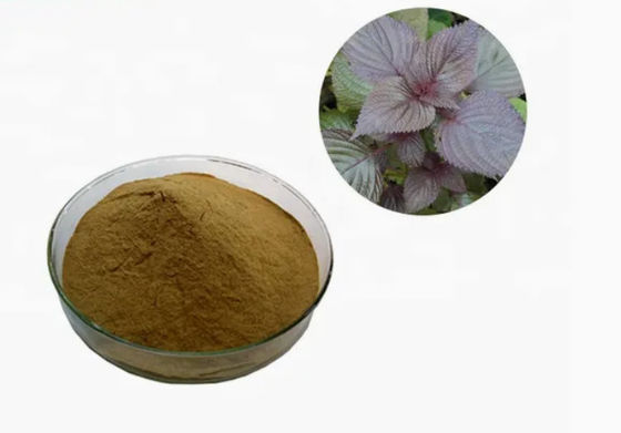 Extracto de hojas de perilla orgánica natural CAS NO 90082-61-4 Hierbas anuales en polvo