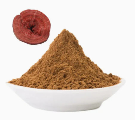 Medicina de hierbas Ganoderma Lucidum espora en polvo CAS NO 223751-82-4