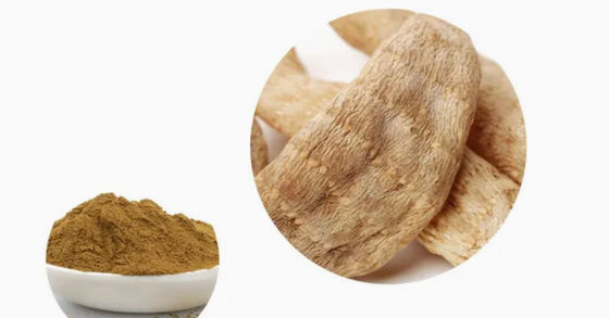 Productos farmacéuticos Atención médica Extractos de Gastrodia Elata CAS NO 62499-27-8 Gastrodia Elata BL