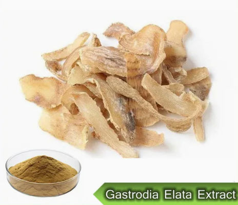 Productos farmacéuticos Atención médica Extractos de Gastrodia Elata CAS NO 62499-27-8 Gastrodia Elata BL