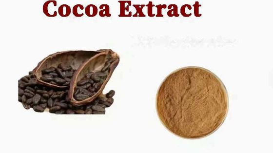 Extracto de cacao natural puro Teobromina CAS NO 83-67-0 Extractos de hierbas Aditivo alimentario