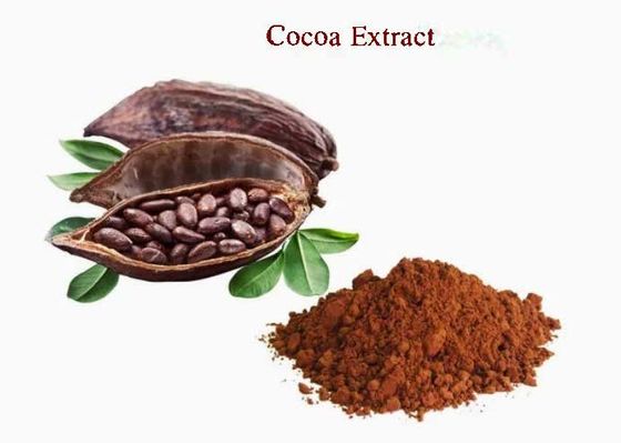 Extracto de cacao natural puro Teobromina CAS NO 83-67-0 Extractos de hierbas Aditivo alimentario