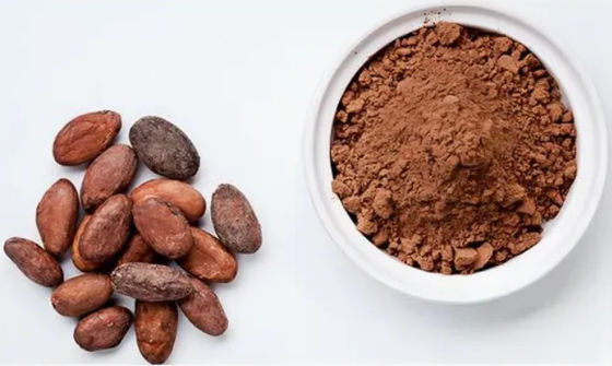 Extracto de cacao natural puro Teobromina CAS NO 83-67-0 Extractos de hierbas Aditivo alimentario