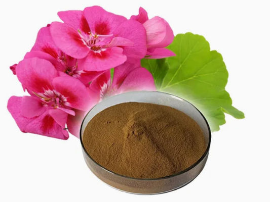 Extracto de geranio orgánico en polvo de grado alimenticio CAS NO 8000-46-2 Pelargonium Hortorum
