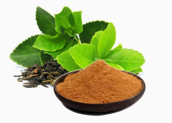 Extracto de té verde de origen vegetal natural de grado alimenticio no 989-51-5 Camellia sinensis o.ktze