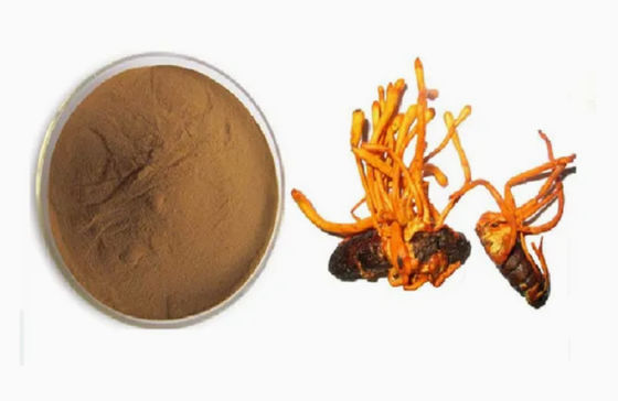 Cordyceps Militaris en polvo enriquecido con selenio orgánico NO 73-03-0