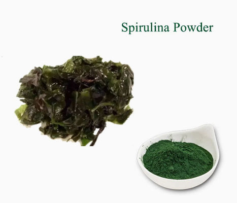 Extractos vegetales Suplemento para el cuidado de la salud Espirulina CAS NO 724424-92-4 Polvo de algas verdes