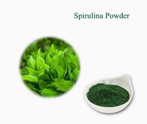 Extractos vegetales Suplemento para el cuidado de la salud Espirulina CAS NO 724424-92-4 Polvo de algas verdes