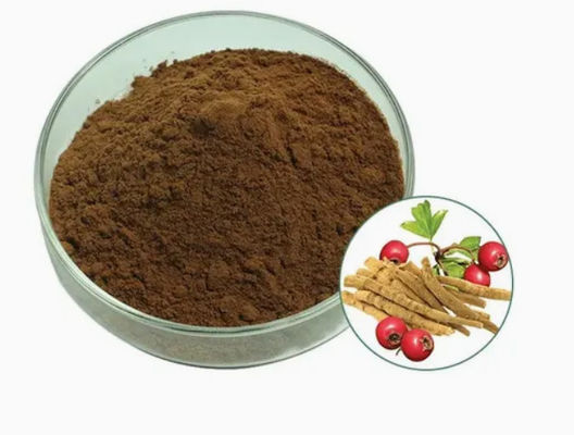 Extracto de hierbas Ashwagandha Extractos ayurvédicos CAS NO 90147-43-6 5% de Witanolides en polvo