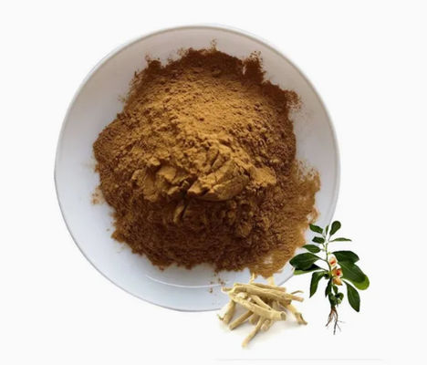 Extracto de hierbas Ashwagandha Extractos ayurvédicos CAS NO 90147-43-6 5% de Witanolides en polvo