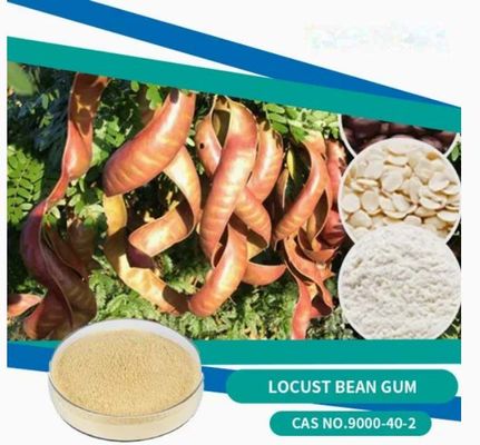 Alimentos y cosméticos orgánicos Goma de algarroba en polvo CAS NO 9000-40-2 Goma de judías de langosta
