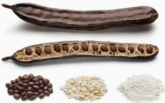 Comida orgánica de calidad cosmética goma de algarroba en polvo CAS NO 9000-40-2 goma de grano de langosta