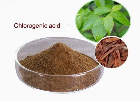 Materia prima o productos intermedios clave para la industria farmacéutica Ácido clorogénico CAS NO 327-97-9 en polvo