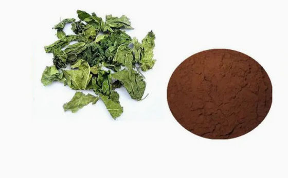 Materia prima farmacéutica clave o ácido clorogénico intermedio CAS NO 327-97-9 en polvo