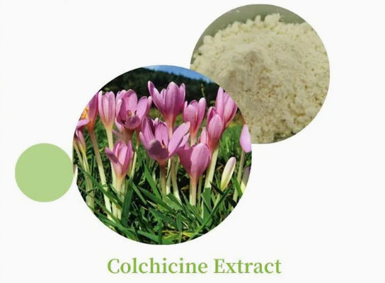 No CAS 64-86-8 Extracto de colchicina USP/Ep 97~103% Colcemid Colchicina