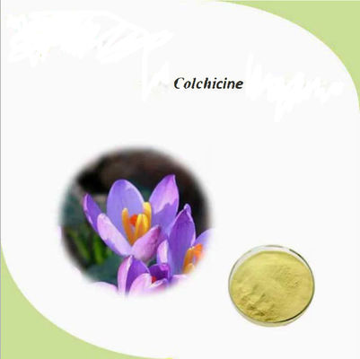 No CAS 64-86-8 Extracto de colchicina USP/Ep 97~103% Colcemid Colchicina