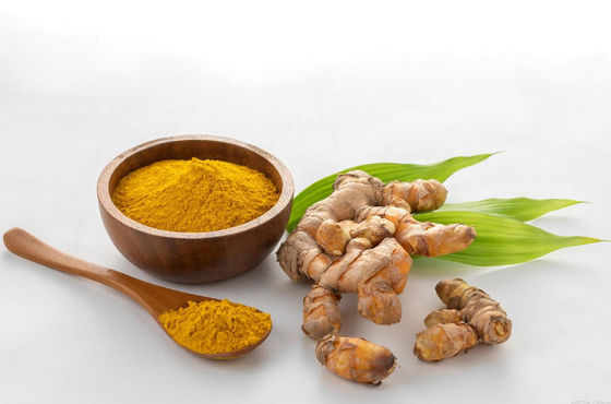Extracto de raíz de cúrcuma vegetal