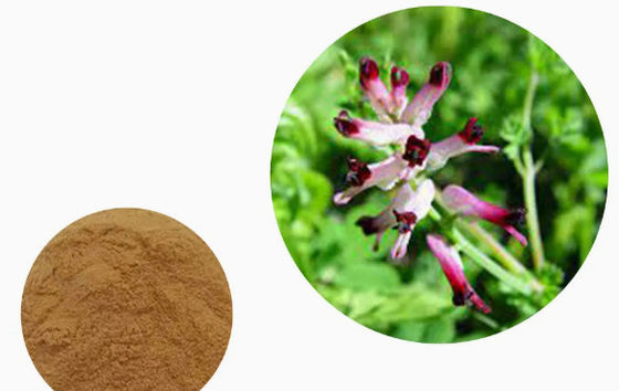 100% extracto natural de Fumaria CAS NO 10097-84-4 10% taninos extracto de Fumaria officinalis