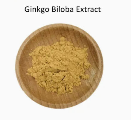 Productos farmacéuticos Atención médica Extracto de Ginkgo Biloba CAS NO 84696-15-1 Polvo natural puro
