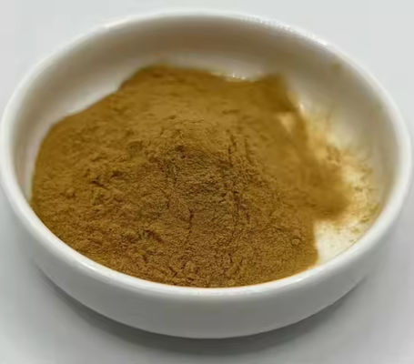 Productos farmacéuticos Atención médica Extracto de Ginkgo Biloba CAS NO 84696-15-1 Polvo natural puro