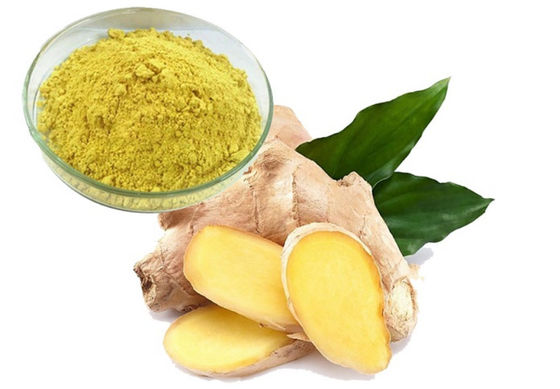 Productos farmacéuticos Atención médica Extracto de Ginkgo Biloba CAS NO 84696-15-1 Polvo natural puro
