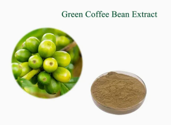 Farmacéutica Sanidad Extracto de granos de café verde CAS NO 327-97-9 Polvo natural puro