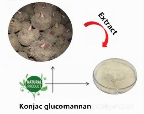 Polvo de glucomanano de konjac natural CAS NO 37220-17-0 Extracto de raíz de konjac en polvo de pureza