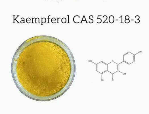 Suplemento de atención médica Kaempferol en polvo Extracto de galanga Cas No 520-18-3 Pura Natura