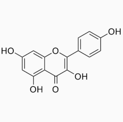 Suplemento para el cuidado de la salud Kaempferol en polvo Extracto de Galanga CAS 520-18-3 Natura pura